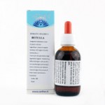 Betulla - 50 ml 