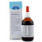 Pilosella - 50 ml