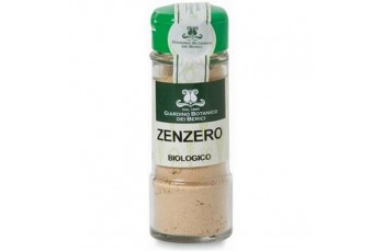 Zenzero in polvere Bio - 30 gr